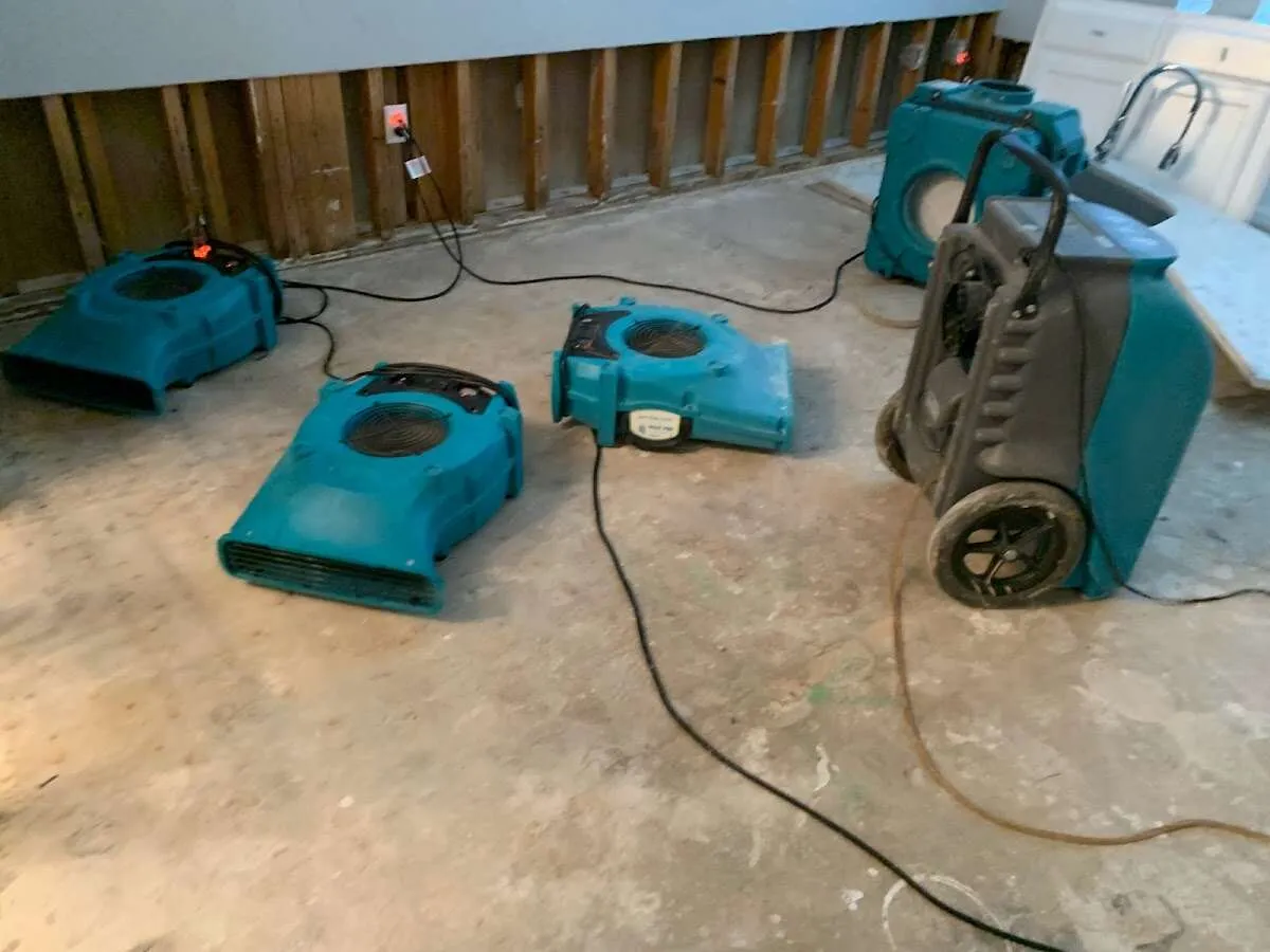 Water Damage Restoration services in Fruit Cove, FL